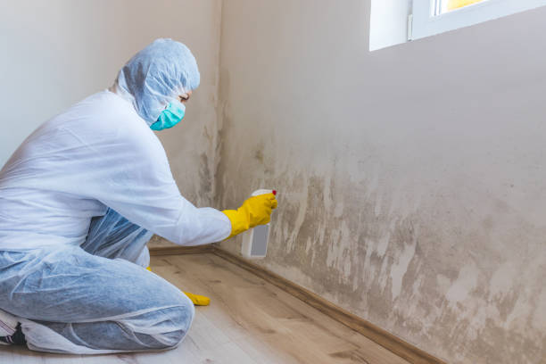 Mold Remediation specialist working in Apopka